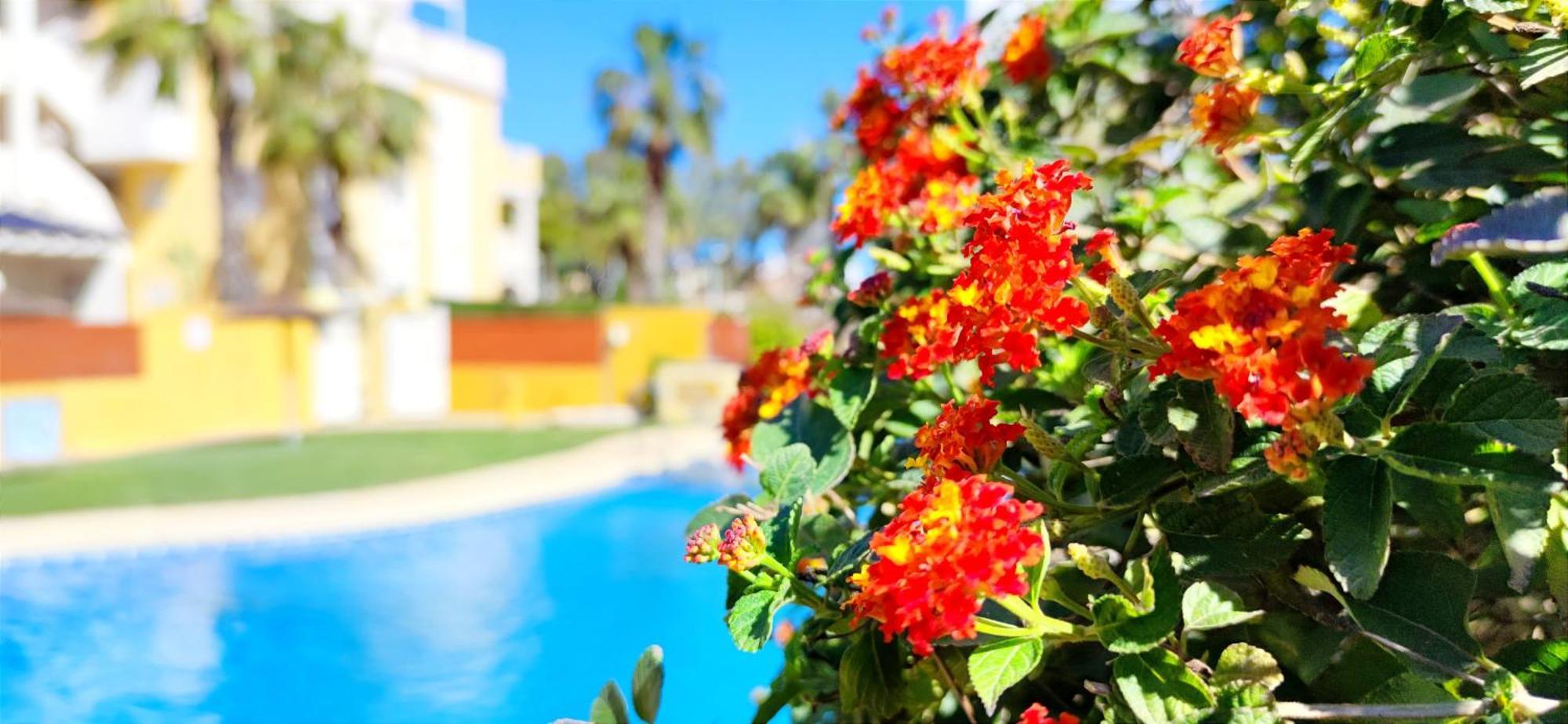 Apartamento Playa Sol By Denia Costa Buitenkant foto